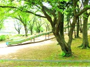 絹の台桜公園