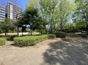 竹園西広場公園