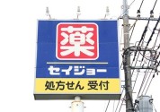 セイジョー 