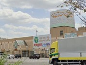 エコス 新治SC店