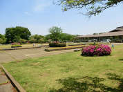 松戸運動公園