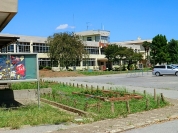 田中小学校