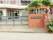 高柳保育園