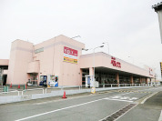ベルクス南柏店