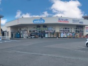 ウェルシア水戸平須店