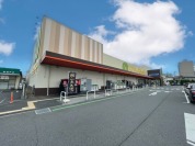 マミーマート　柏根戸店