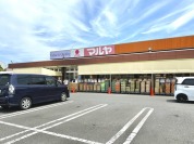 マルヤ　沼南店