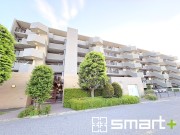 ライフプラザ柏豊住【中古マンション】