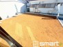 ～お庭もある余裕の敷地～
・広々した敷地にはお庭もご用意。お庭があるだけで余裕を感じますね。
・防草シートや人工芝の敷設などのオプションもお気軽にご相談くださいませ。
