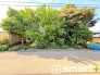 ～閑静な住宅街の立地～
・周辺は閑静な住宅街となっておりますので、静かな暮らしをご実現いただけます。