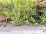 ～閑静な住宅街～
・前面道路の交通量も多くないので、小さなお子様がいるご家庭でもご安心ですね。
