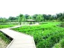 公園