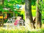 幼稚園
