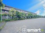 ～閑静な住宅街の立地～
・周辺は閑静な住宅街となっておりますので、静かな暮らしをご実現いただけます。
・前面道路の交通量も多くないので、小さなお子様がいるご家庭でもご安心ですね。
