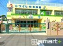 幼稚園