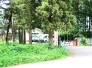 幼稚園