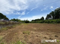 ~閑静な住宅街の立地~
・周辺は閑静な住宅街となっておりますので、静かな暮らしをご実現いただけます。
・前面道路の交通量も多くないので、小さなお子様がいるご家庭でもご安心ですね。