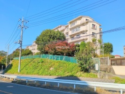 柏市中新宿1丁目