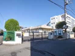 柏市柏
