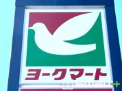 ヨークマート柏の葉公園店