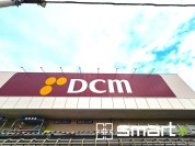 DCM柏の葉公園店