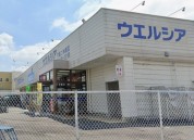 ウエルシア下館二木成店