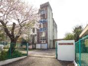 酒井根西小学校