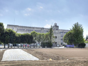 高田小学校