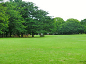 県立柏の葉公園