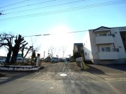 認定こども園いわい保育園