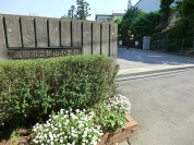 新山小学校